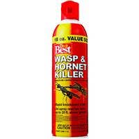 DO IT BEST WASP & HORNET KILLER 18OZ WAS